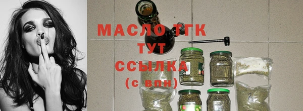 индика Богородск