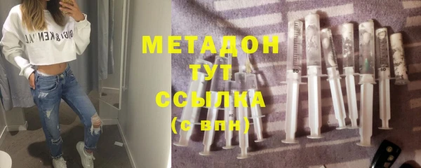 индика Богородск