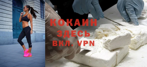 индика Богородск
