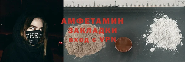 индика Богородск