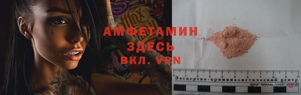 индика Богородск