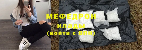индика Богородск